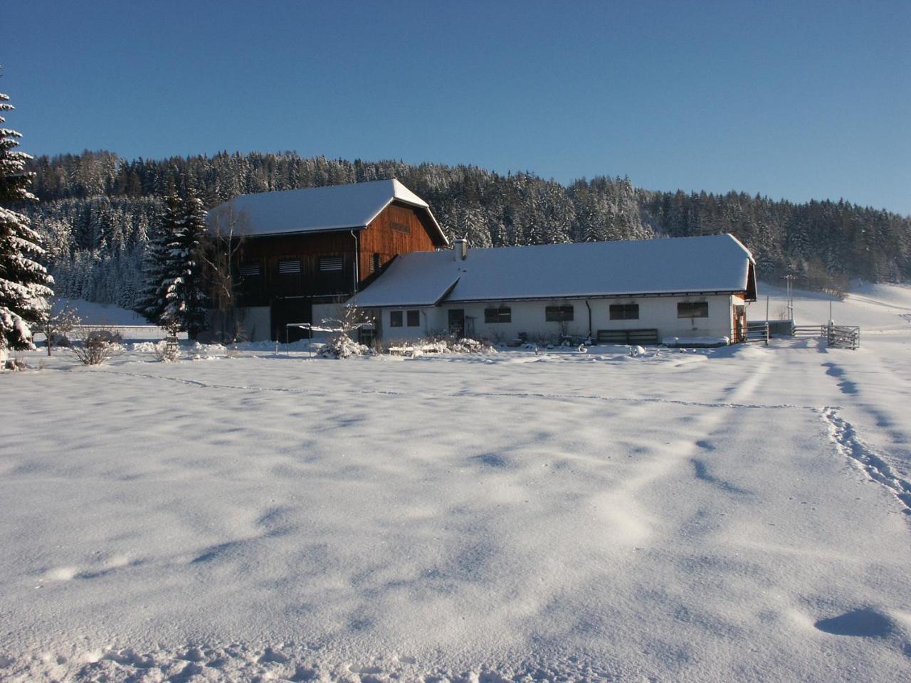 Villa Bio Bauernhof Schoberhof Sankt Andrä im Lungau Exterior foto